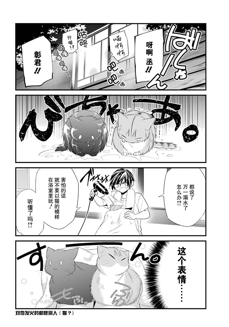 我是猫咪大人的奴仆 - 番外篇01 - 第14张图