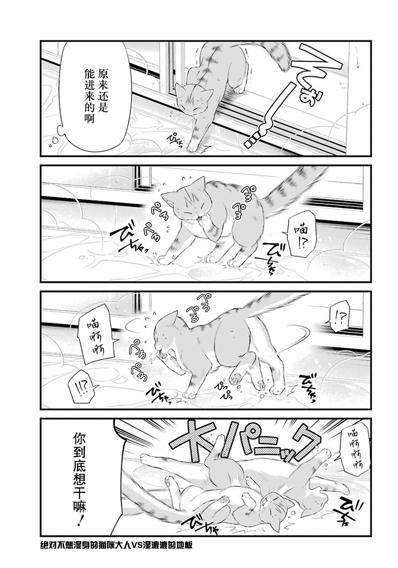 我是猫咪大人的奴仆 - 番外篇01 - 第5张图