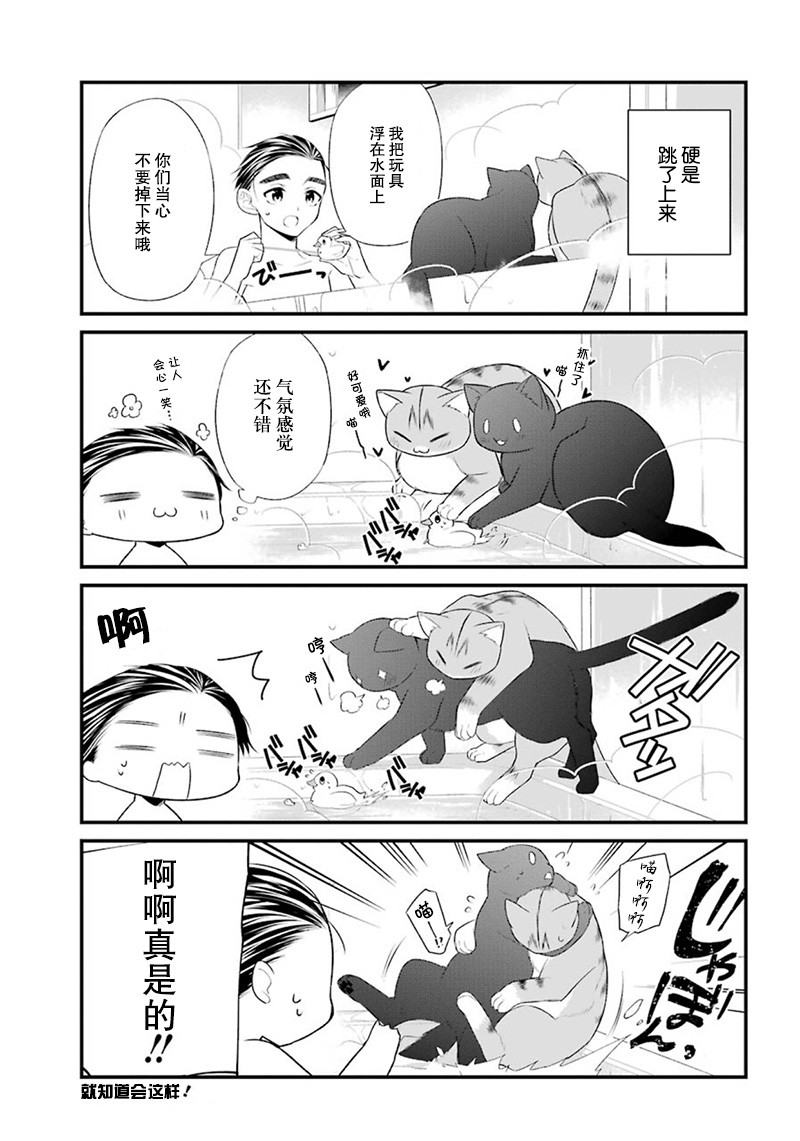 我是猫咪大人的奴仆 - 番外篇01 - 第9张图