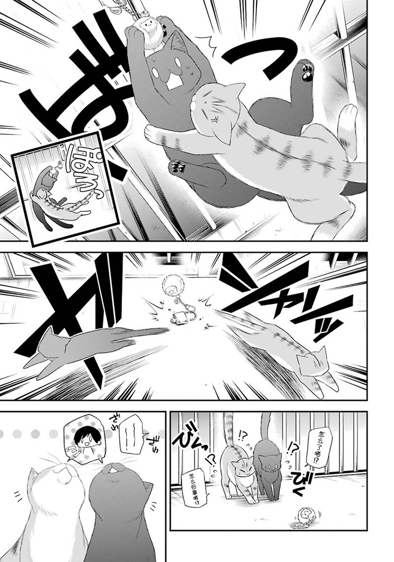 我是猫咪大人的奴仆 - 第10话 - 第11张图