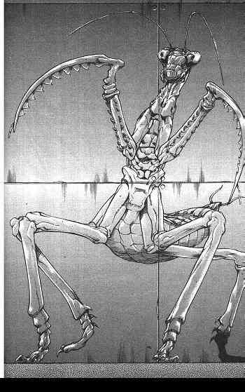 范马刃牙 - 第02卷 - 第148张图