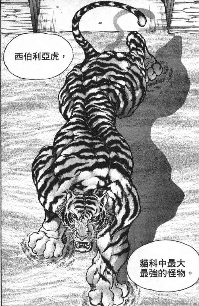 范马刃牙 - 第12卷 - 第62张图