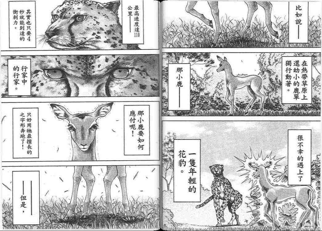 范马刃牙 - 第17卷 - 第69张图