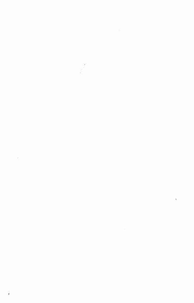 第一神拳 - 第78卷 - 第2张图