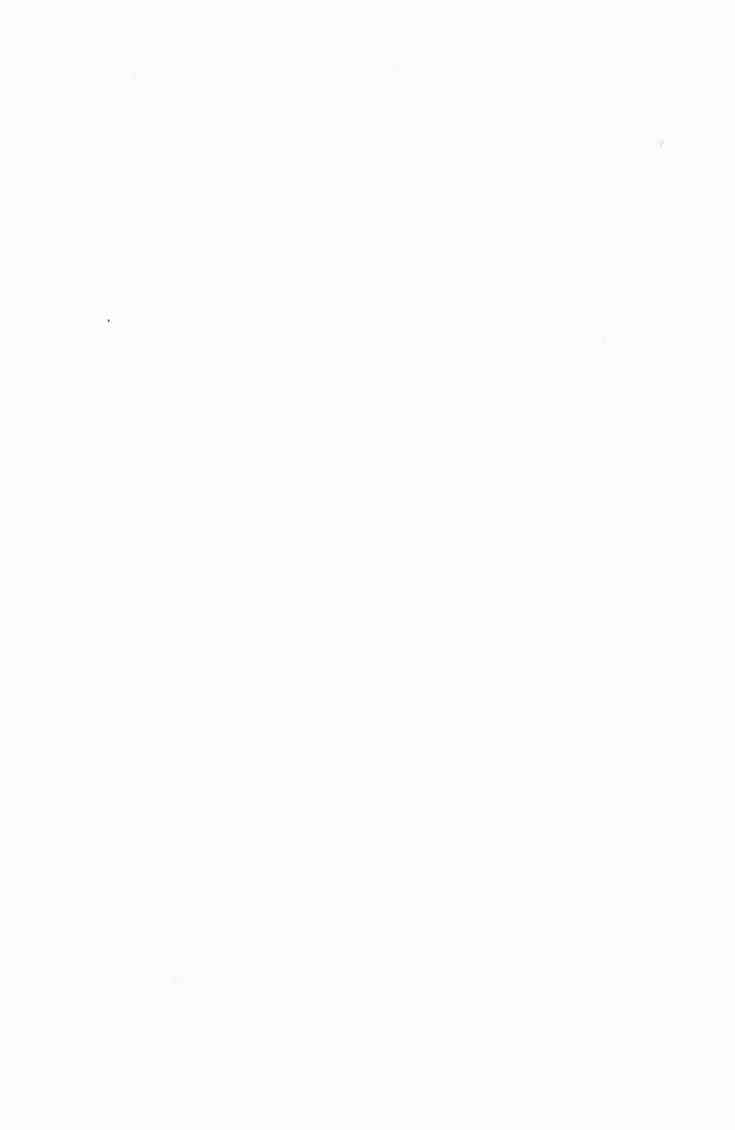 第一神拳 - 第101卷 - 第3张图