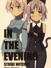 IN THE EVENING
