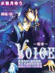 VOICE