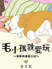 毛小孩就爱玩我家柯基萌日记