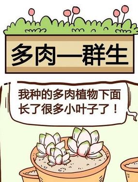 ㌦ֲ֪