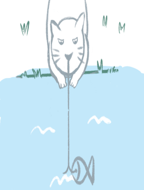 ˮ~