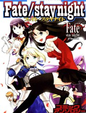 Fate/stay nightx