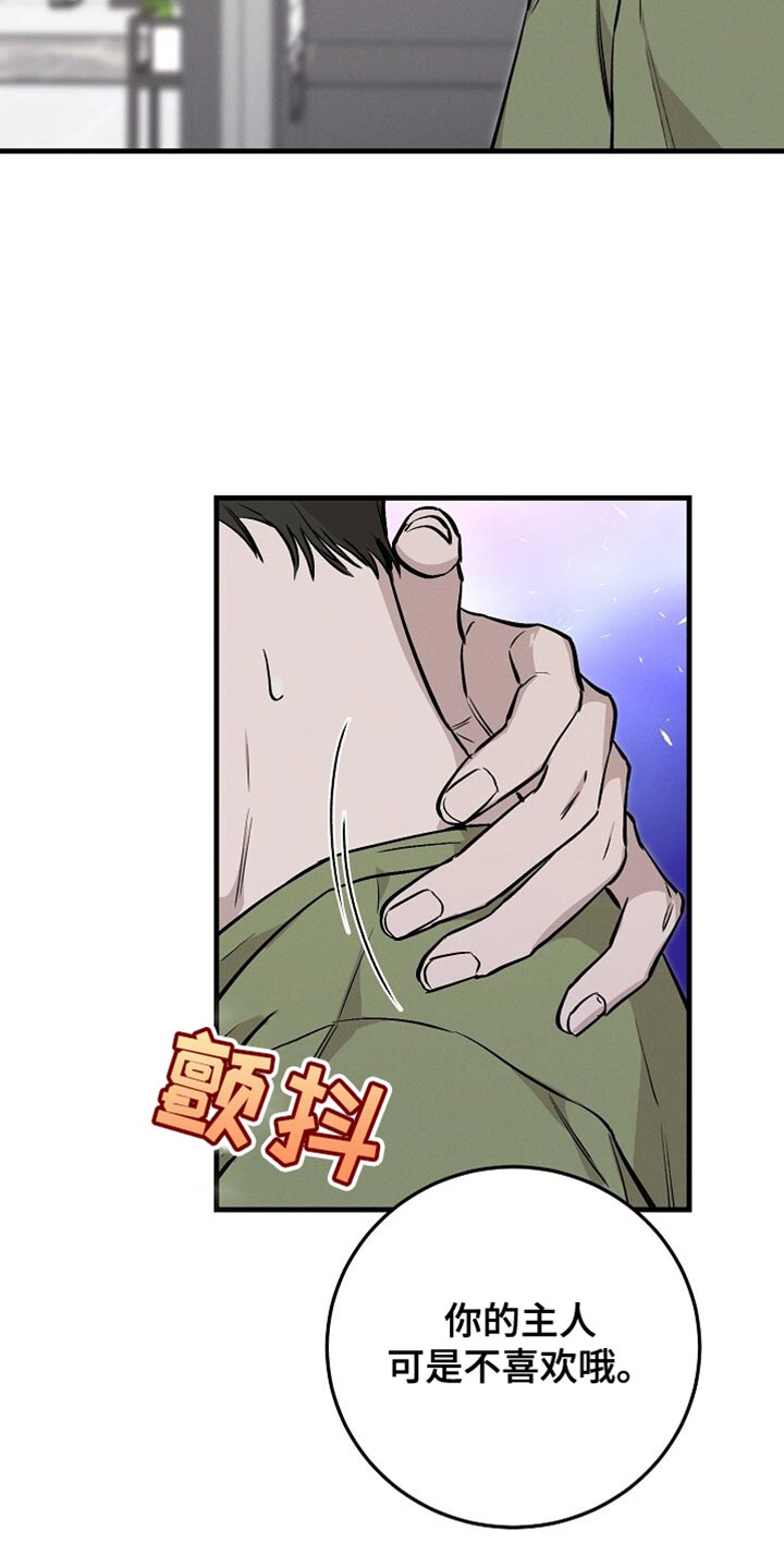 割裂的谎言 - 第59话 - 第15张图