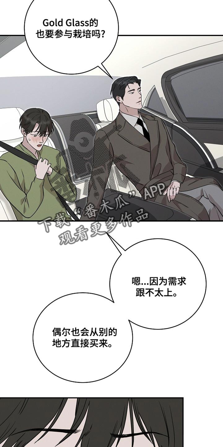 割裂的谎言 - 第60话 - 第16张图