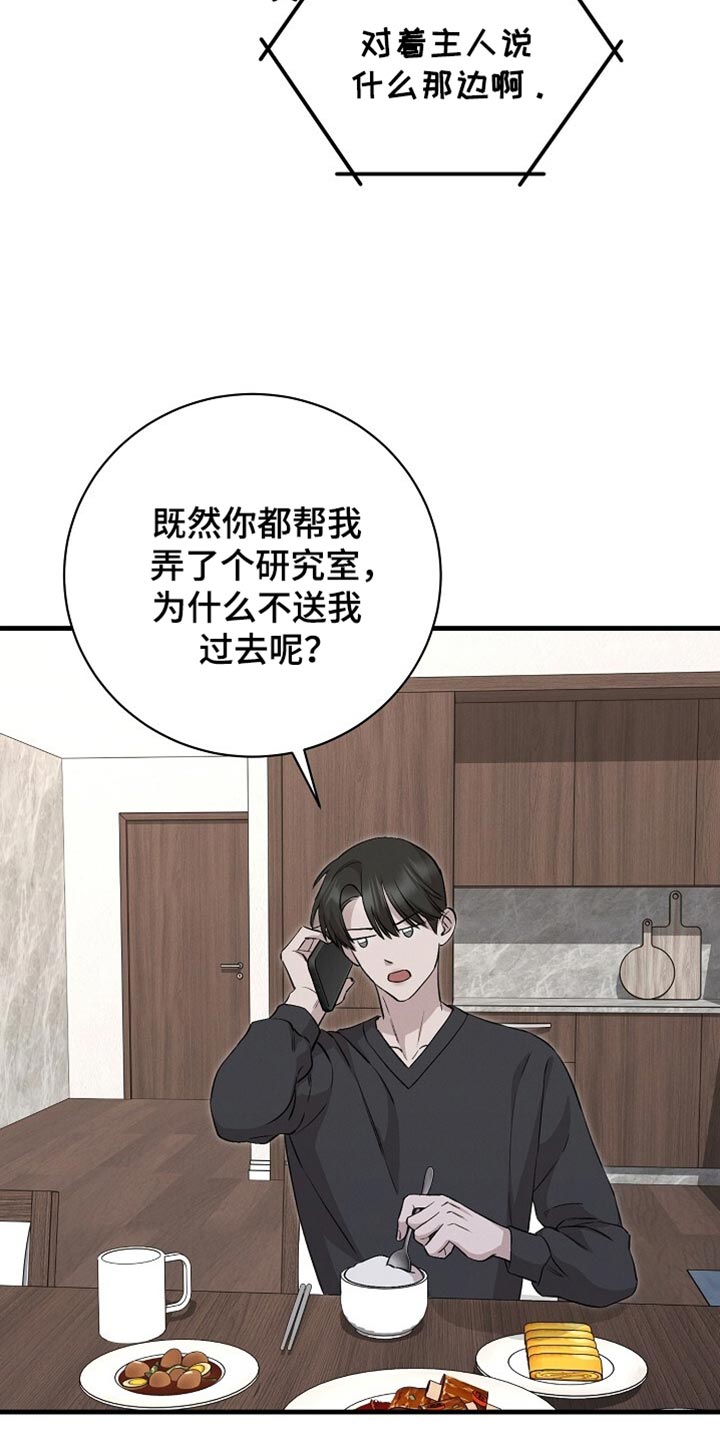 割裂的谎言 - 第66话 - 第13张图