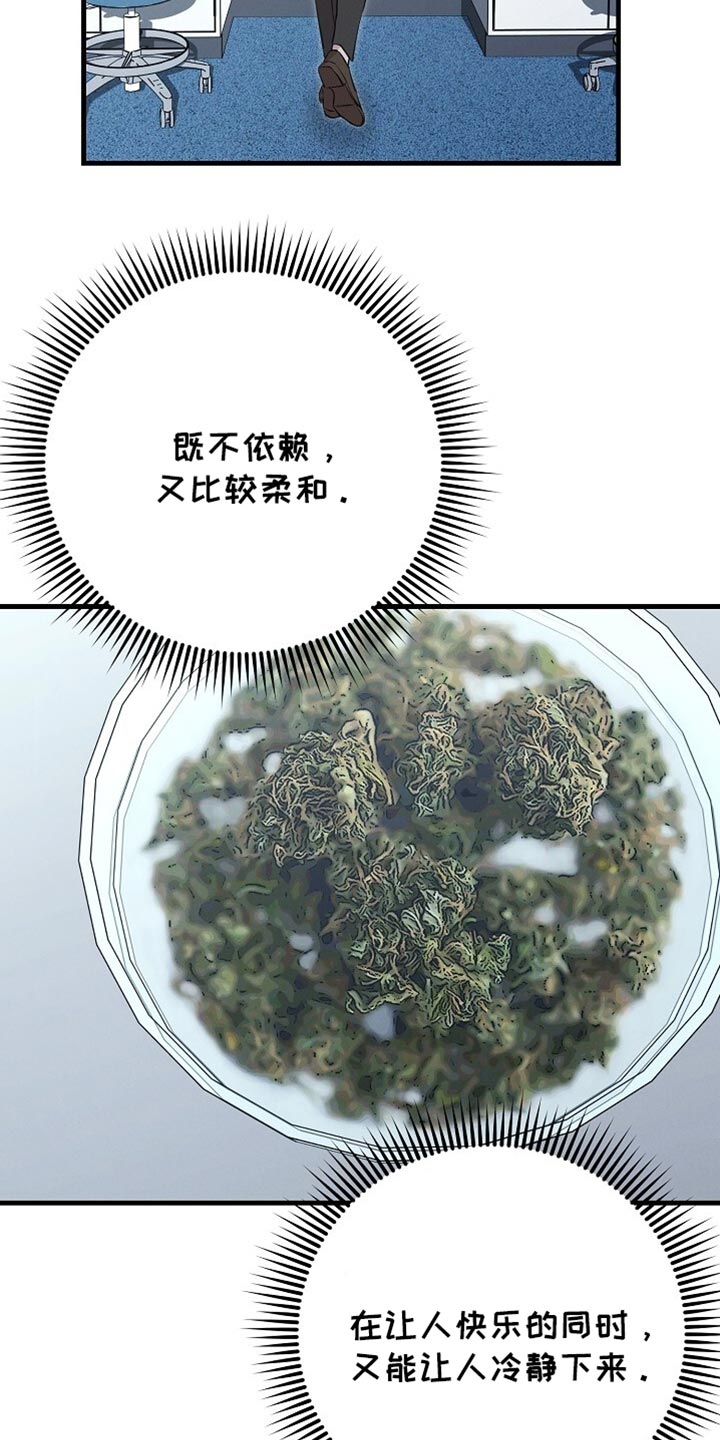 割裂的谎言 - 第68话 - 第18张图