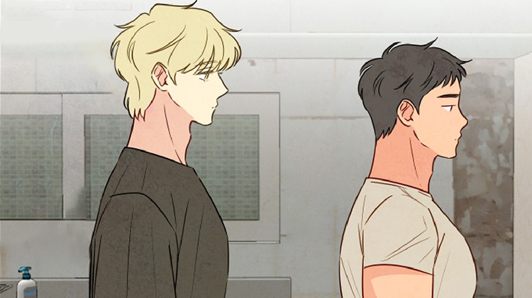 ������ӵ