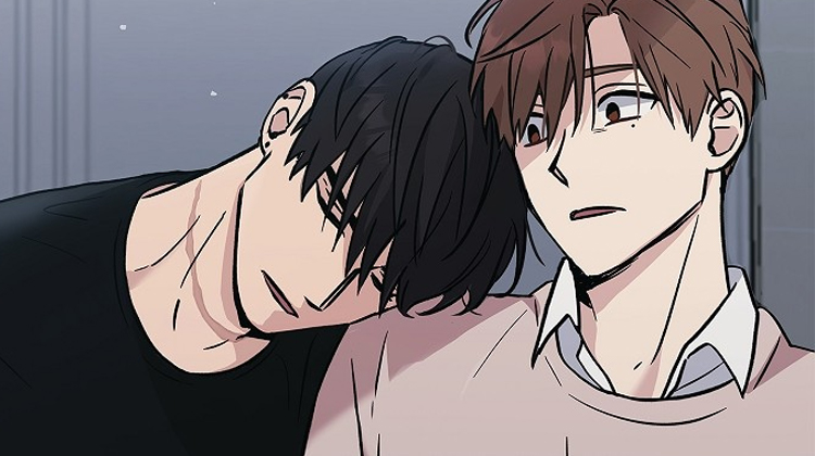 �������ƿ�����