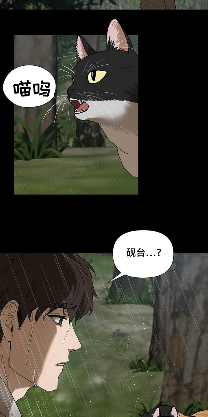 弃暗投明 - 第79话 - 第18张图