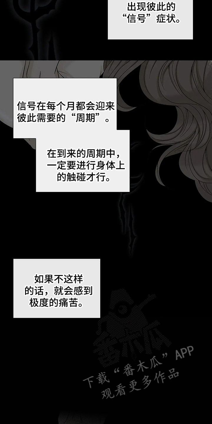 剧毒纽带 - 第5话 - 第11张图