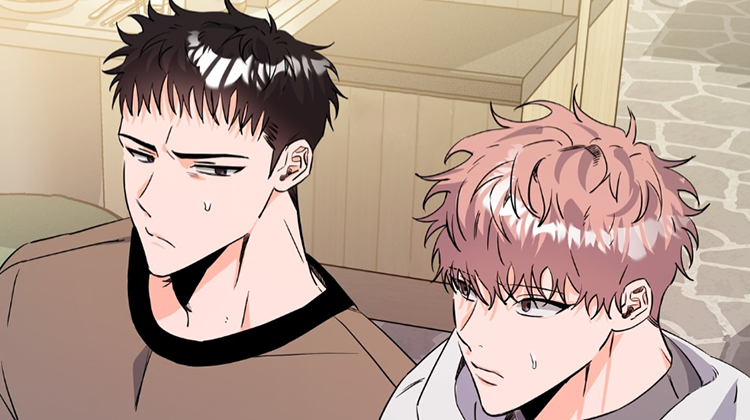 ժ�������͸���