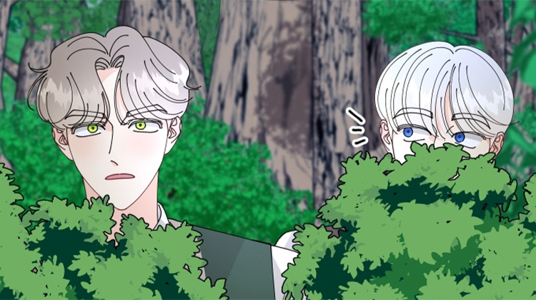 �ҵ����ooc