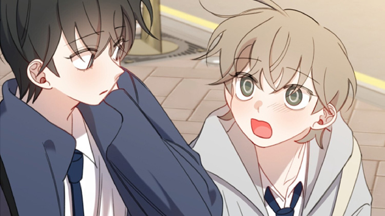 Ѱ���еľ���