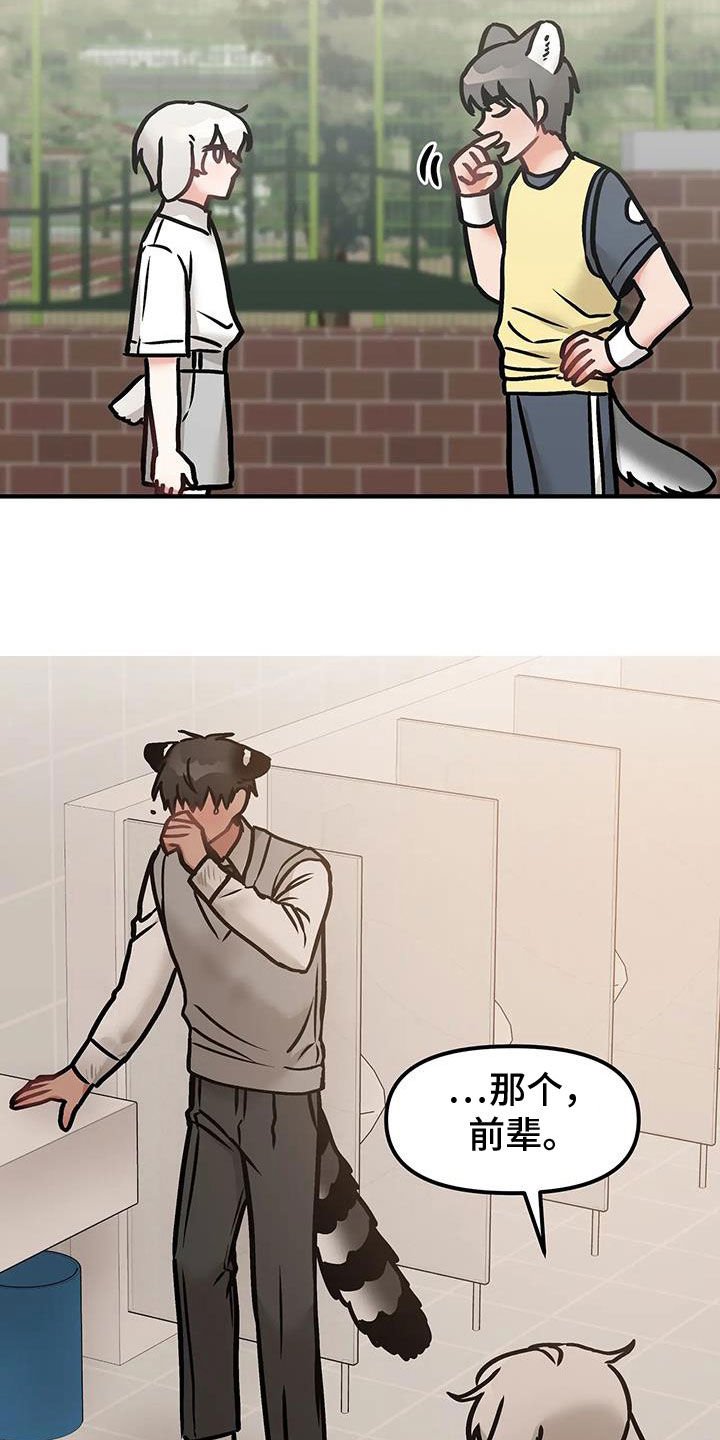 胆怯的老虎 - 第59话 - 第19张图