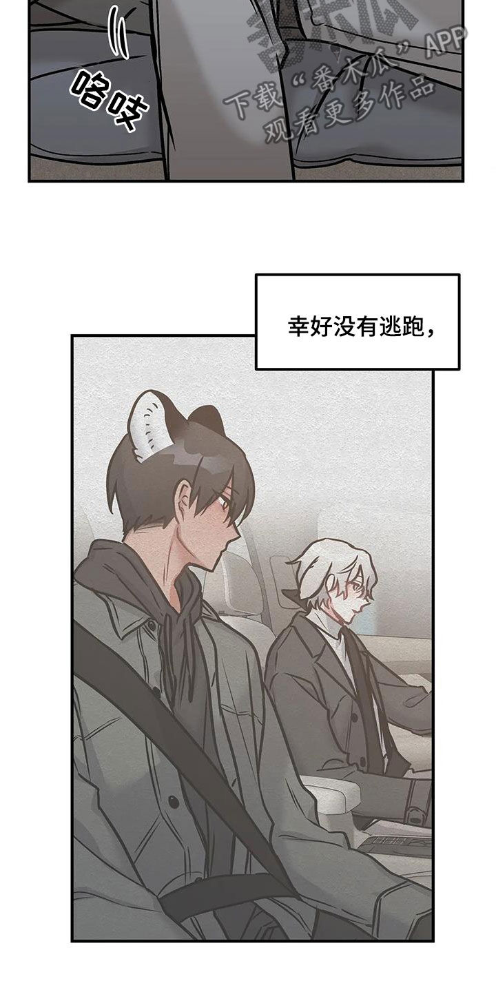 胆怯的老虎 - 第56话 - 第8张图