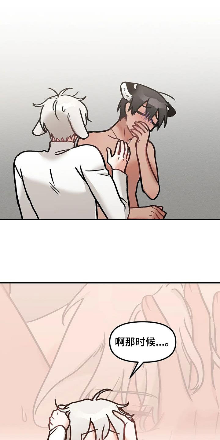 胆怯的老虎 - 第57话 - 第12张图