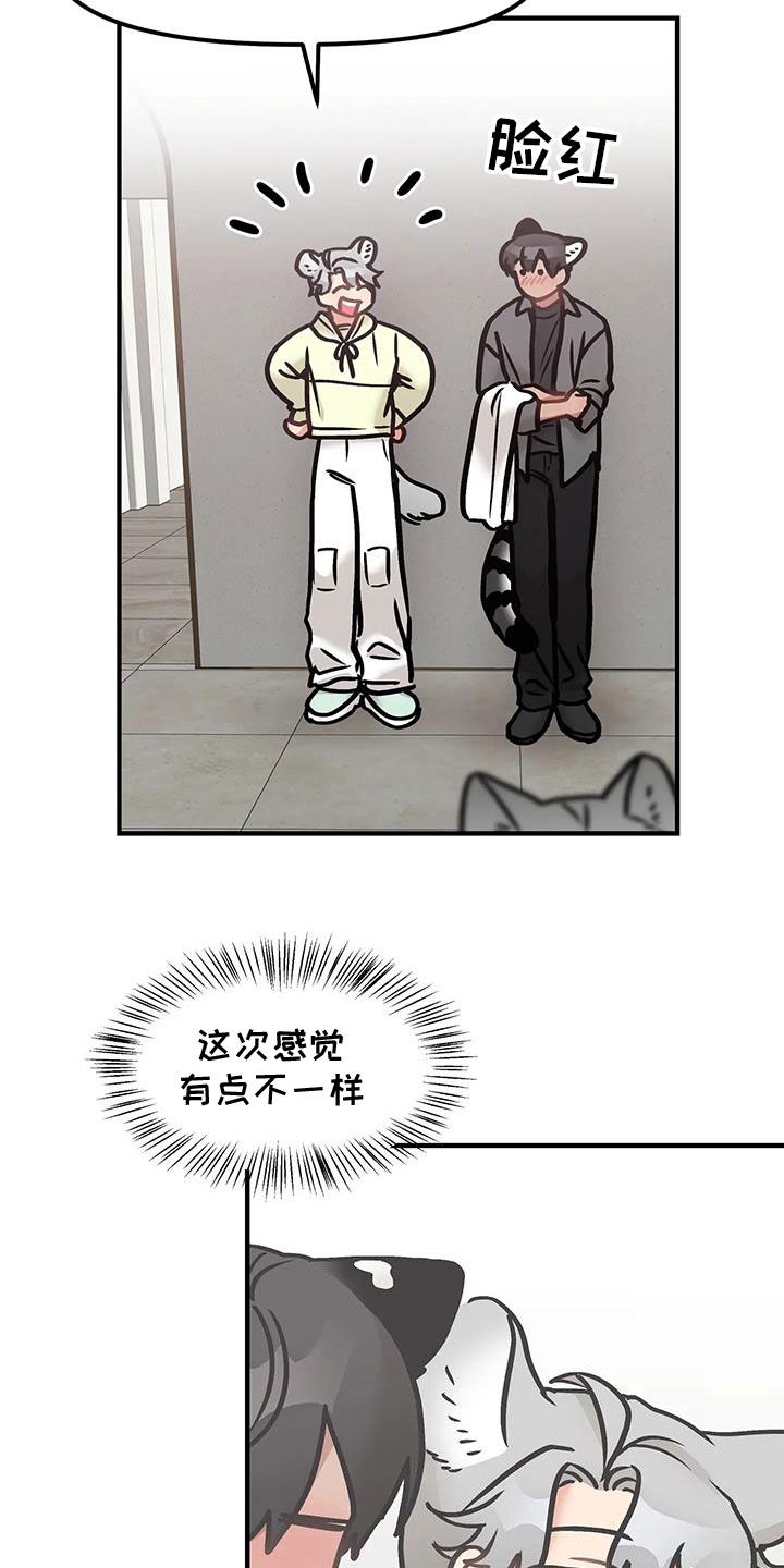 胆怯的老虎 - 第53话 - 第18张图