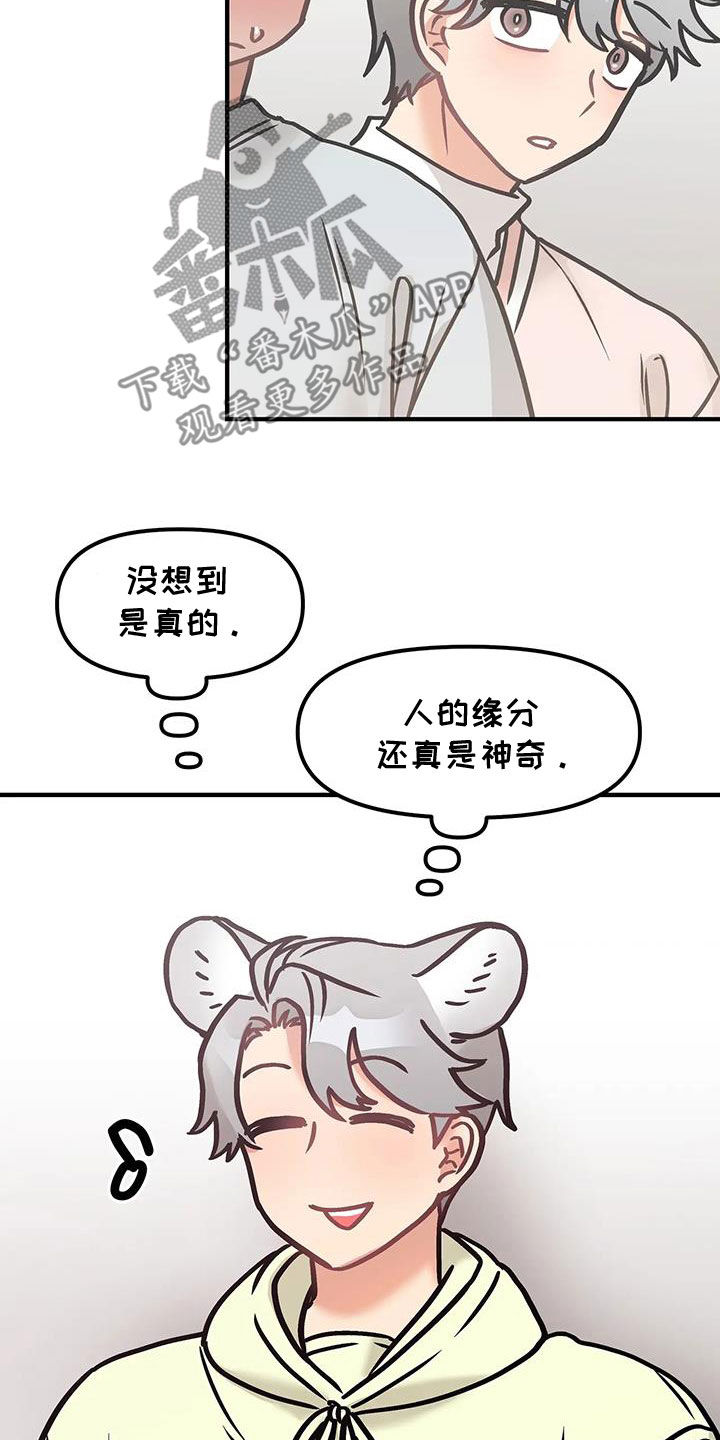 胆怯的老虎 - 第53话 - 第19张图