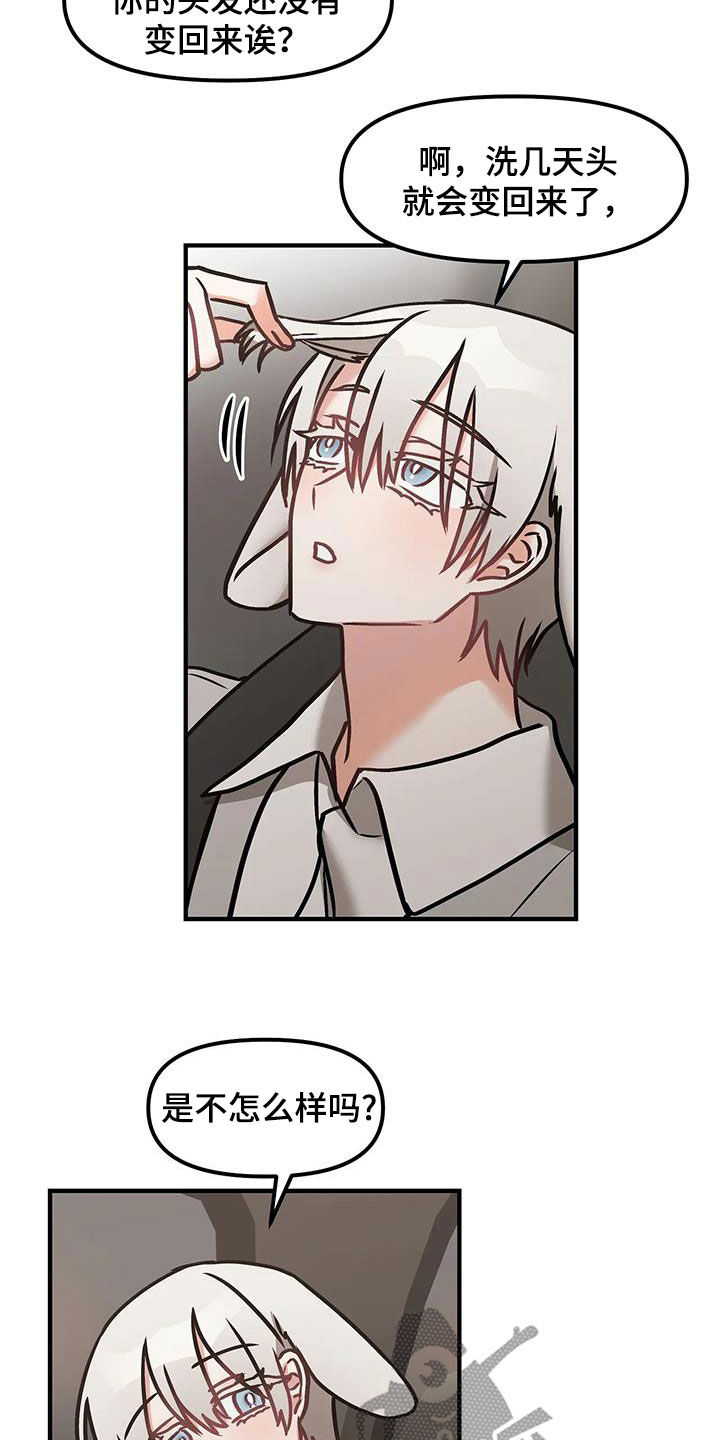 胆怯的老虎 - 第54话 - 第15张图