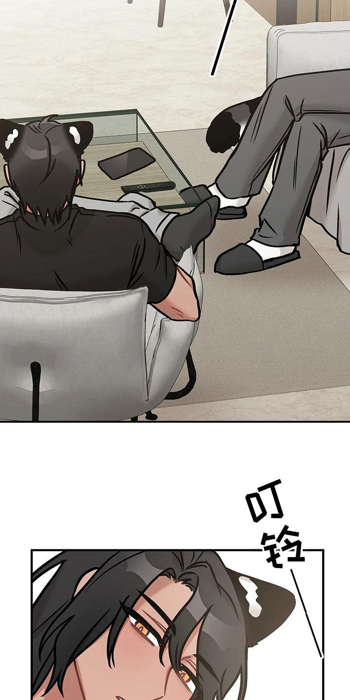 胆怯的老虎 - 第50话 - 第16张图