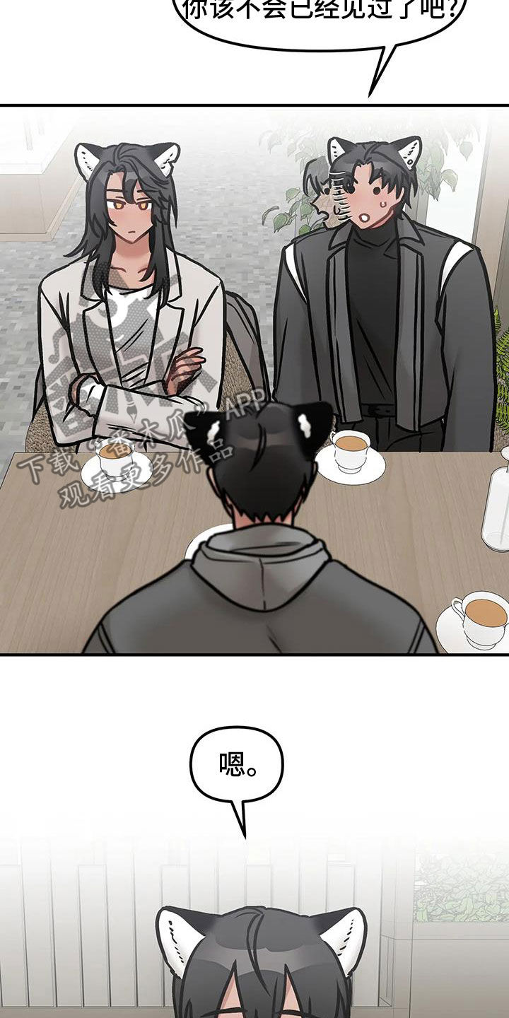 胆怯的老虎 - 第51话 - 第13张图