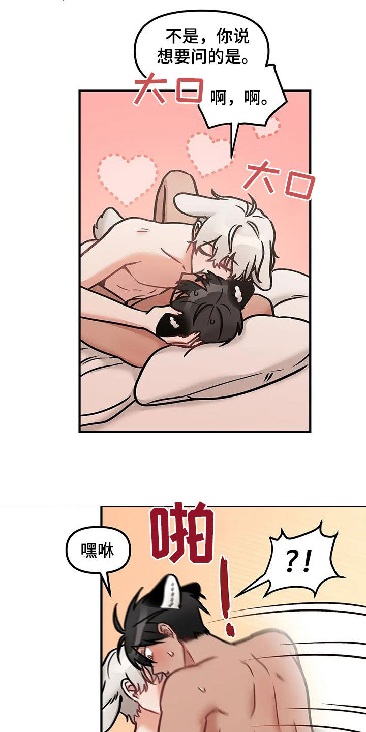 胆怯的老虎 - 第47话 - 第12张图