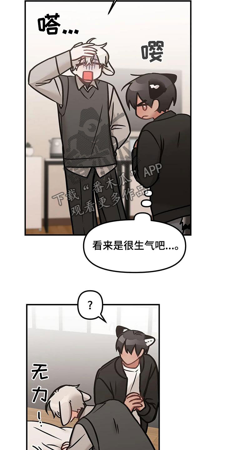 胆怯的老虎 - 第45话 - 第21张图