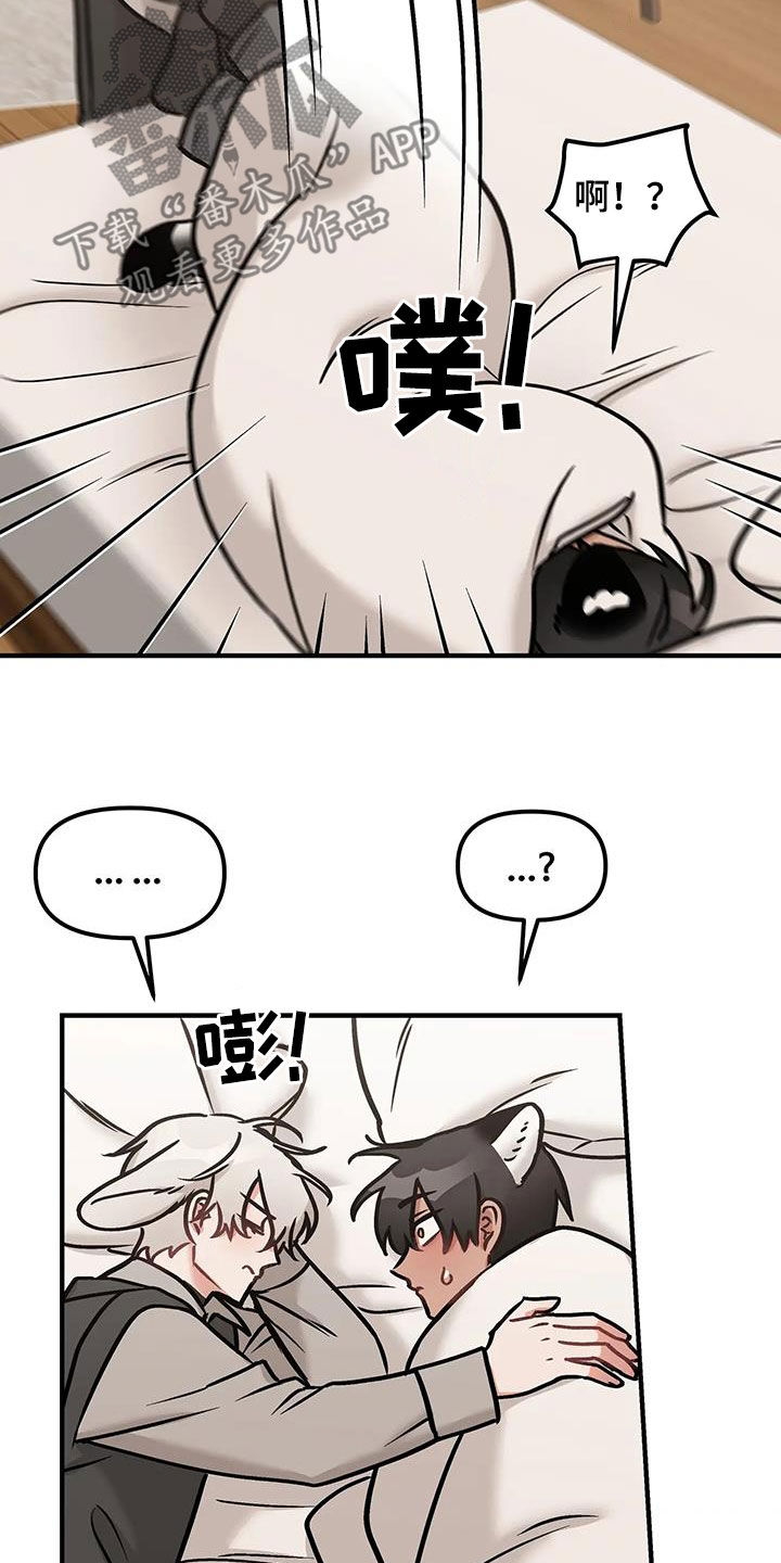 胆怯的老虎 - 第45话 - 第23张图