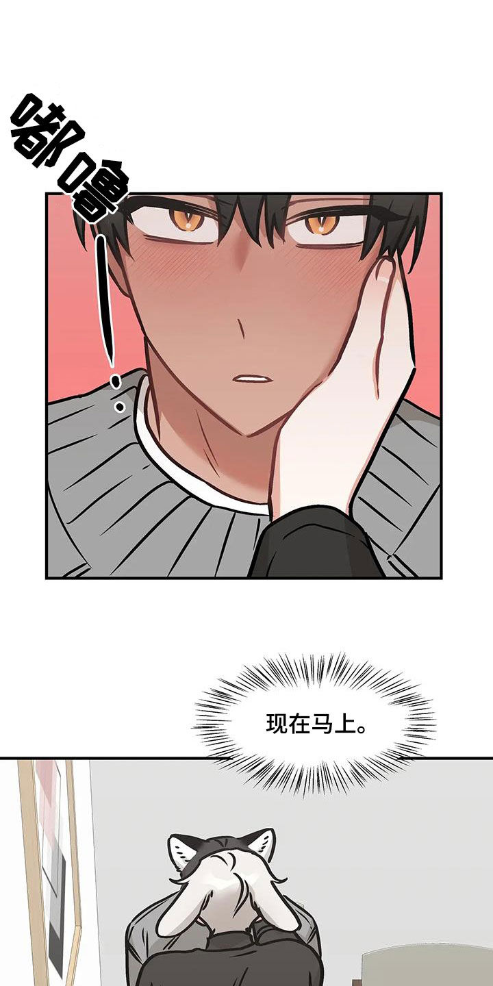 胆怯的老虎 - 第42话 - 第14张图