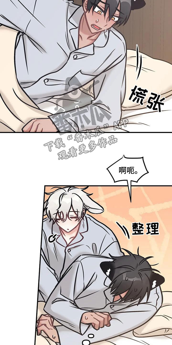 胆怯的老虎 - 第39话 - 第17张图