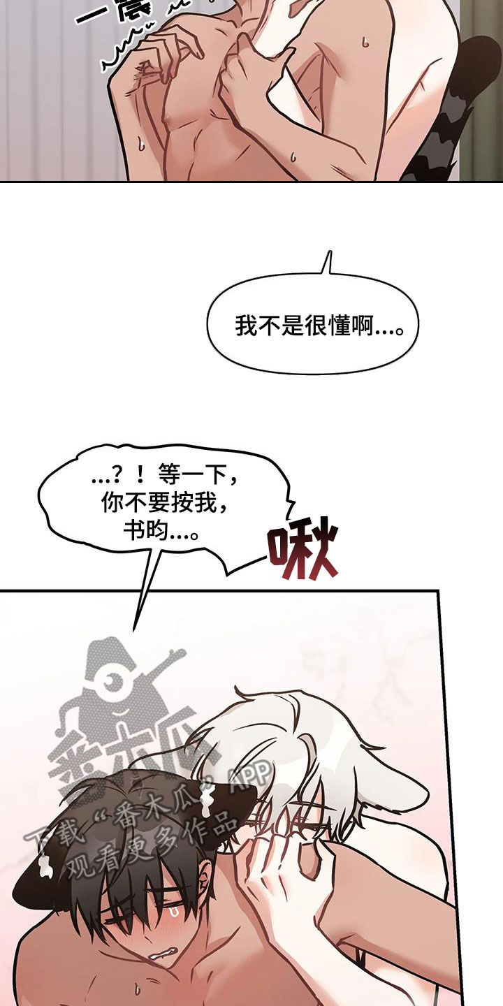 胆怯的老虎 - 第37话 - 第17张图