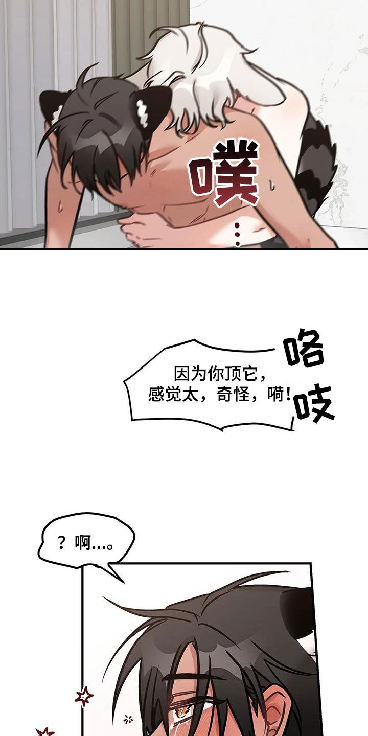 胆怯的老虎 - 第37话 - 第20张图