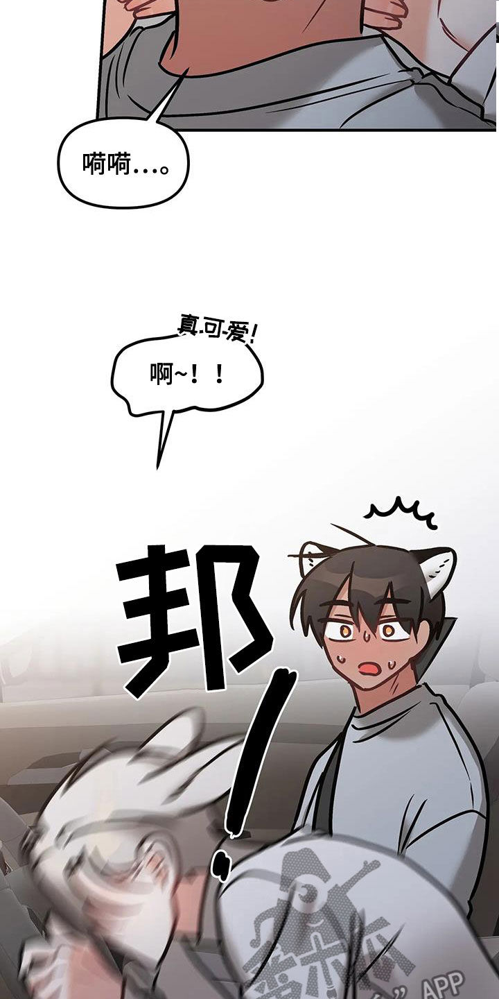 胆怯的老虎 - 第33话 - 第7张图