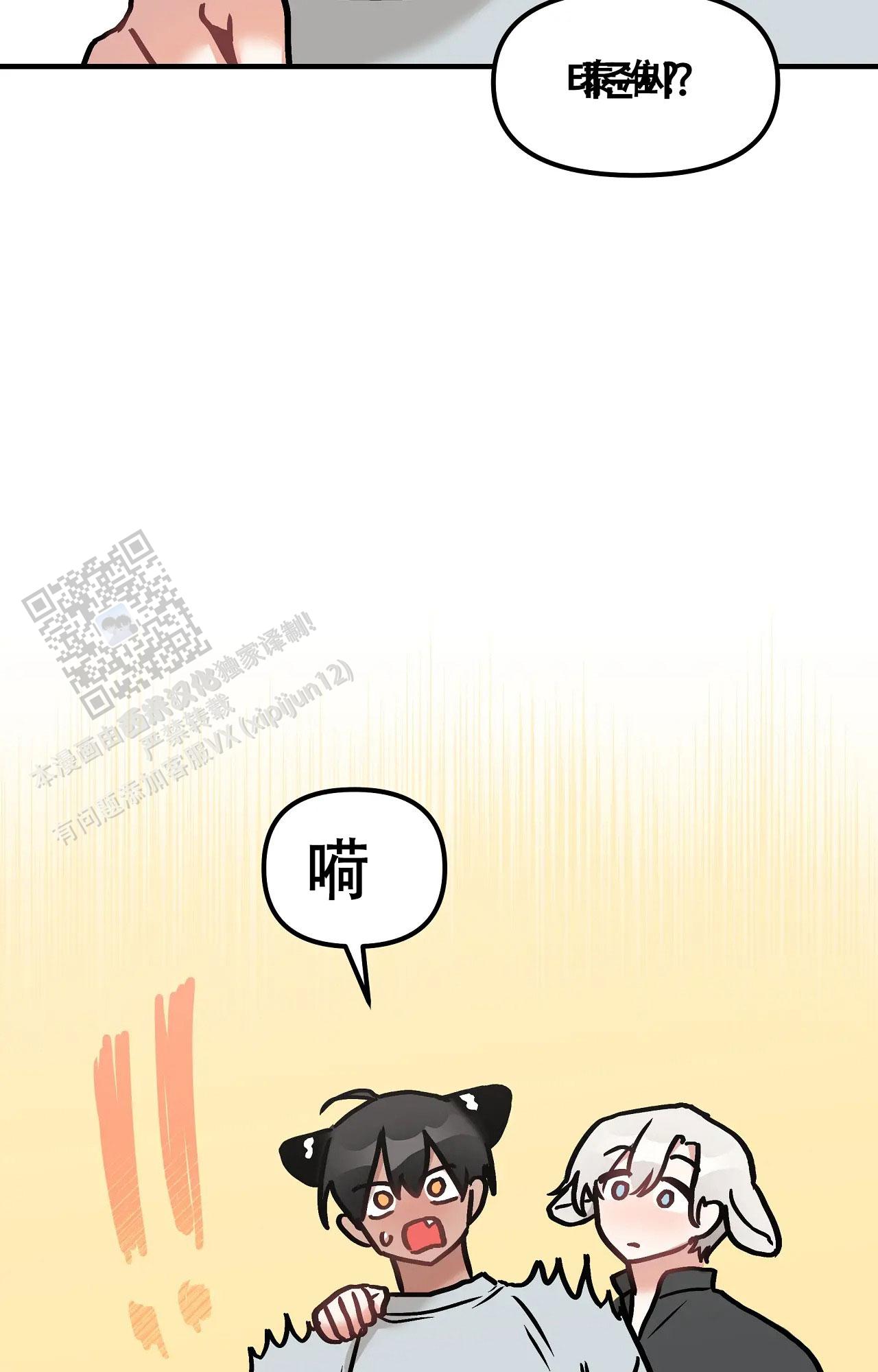 胆怯的老虎 - 第31话 - 第12张图