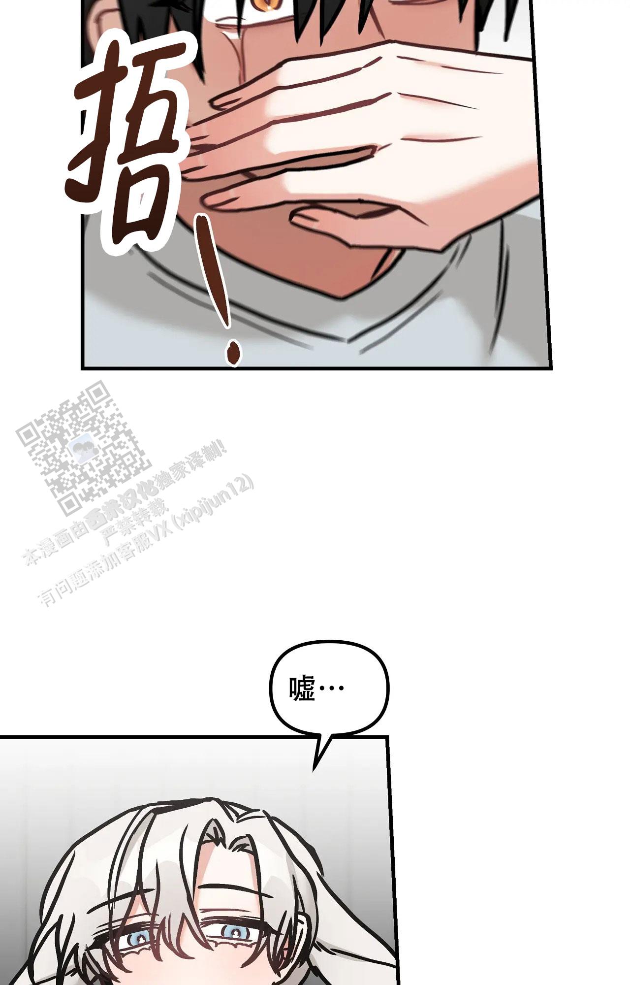 胆怯的老虎 - 第31话 - 第15张图