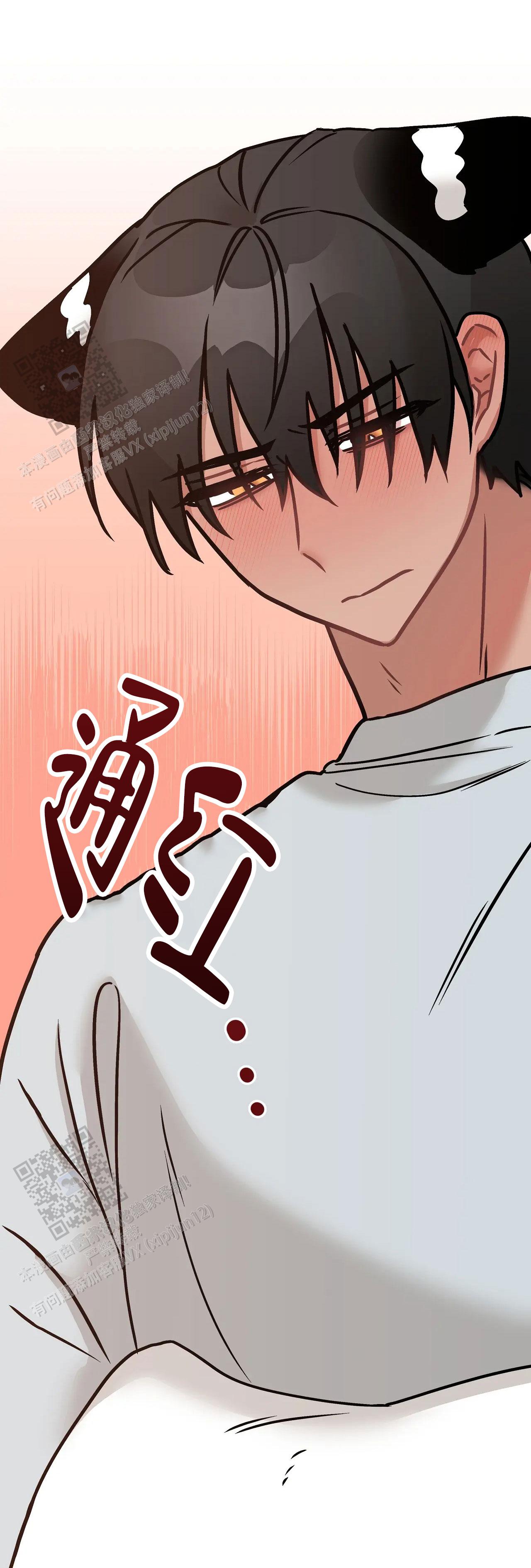 胆怯的老虎 - 第29话 - 第18张图