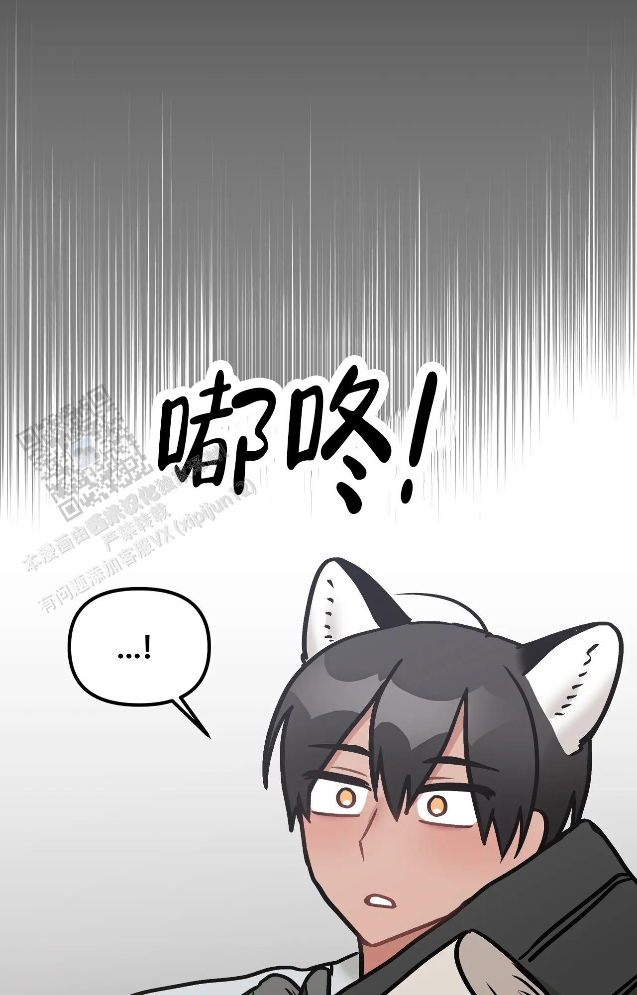 胆怯的老虎 - 第28话 - 第15张图