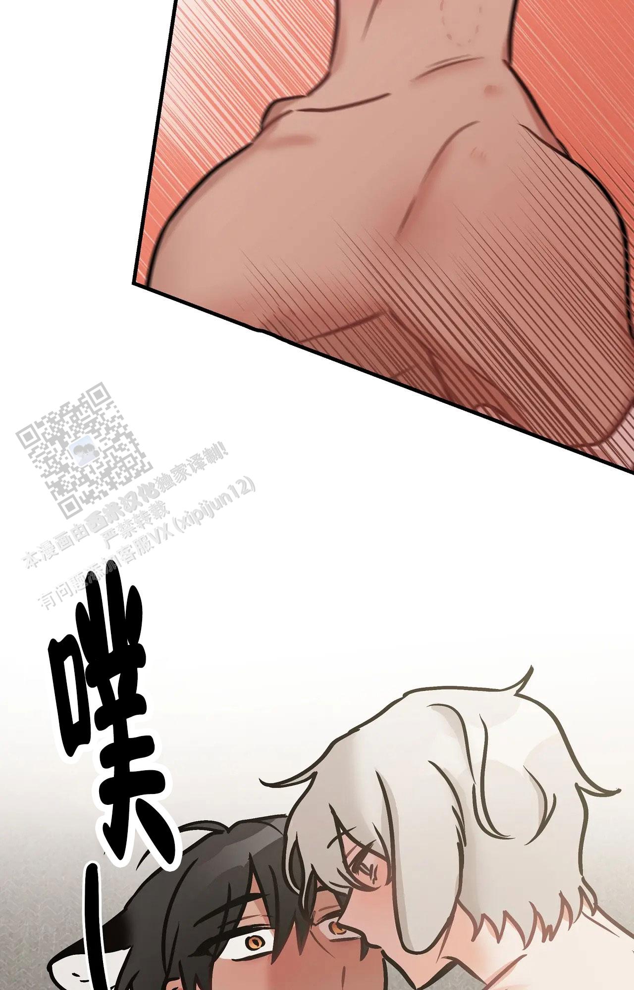 胆怯的老虎 - 第24话 - 第26张图