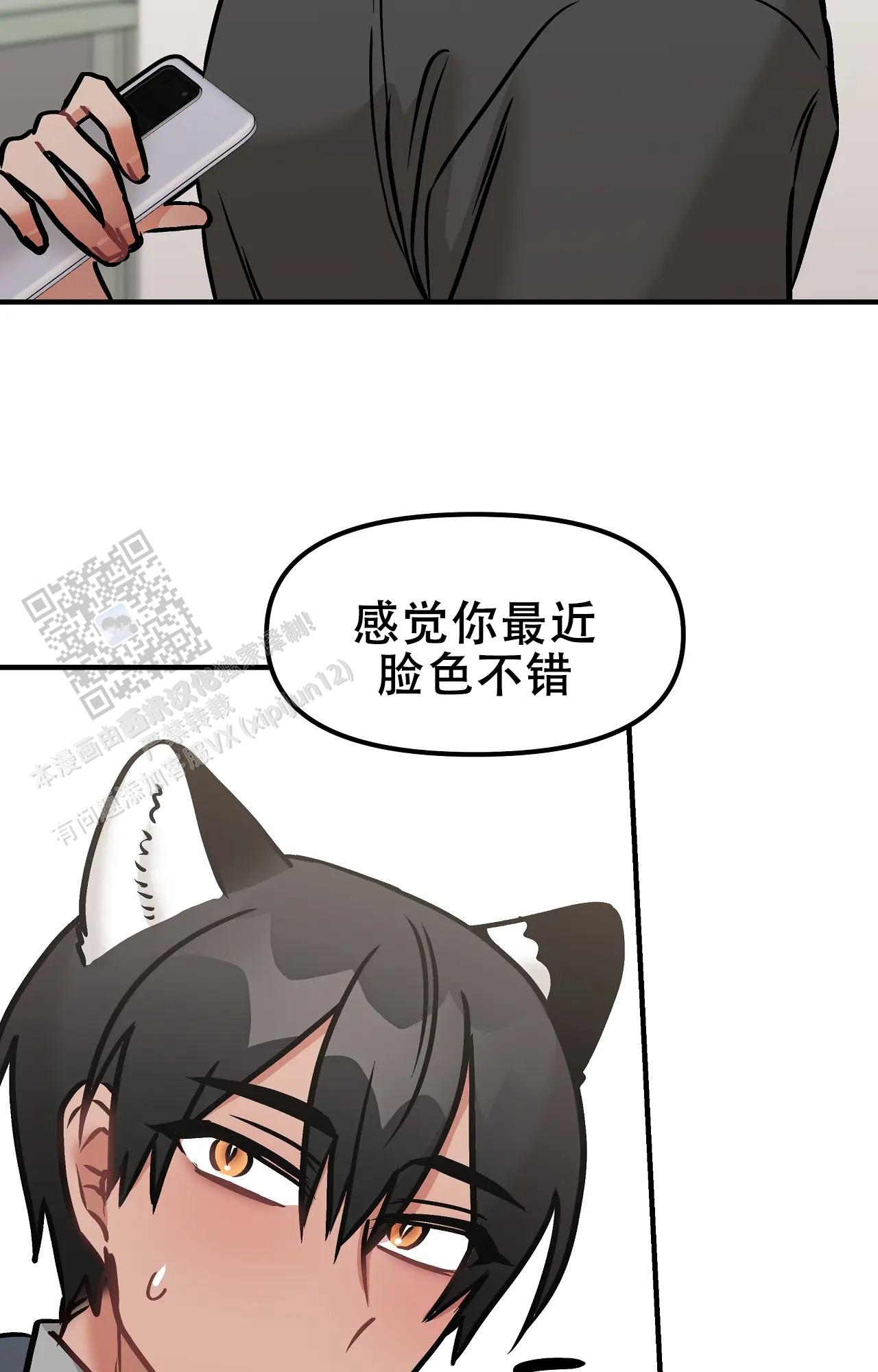 胆怯的老虎 - 第27话 - 第17张图