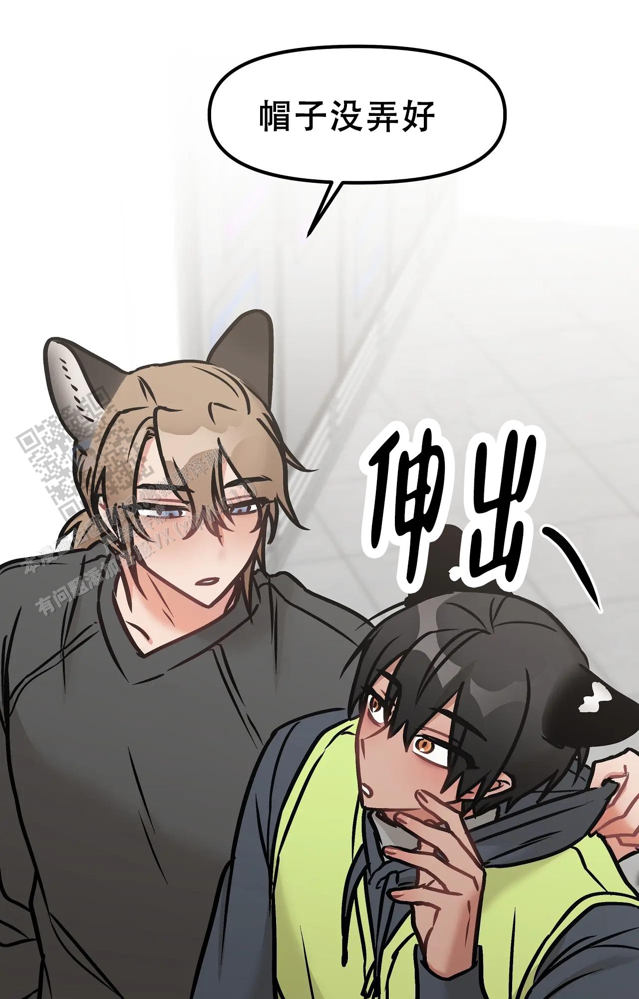 胆怯的老虎 - 第27话 - 第20张图