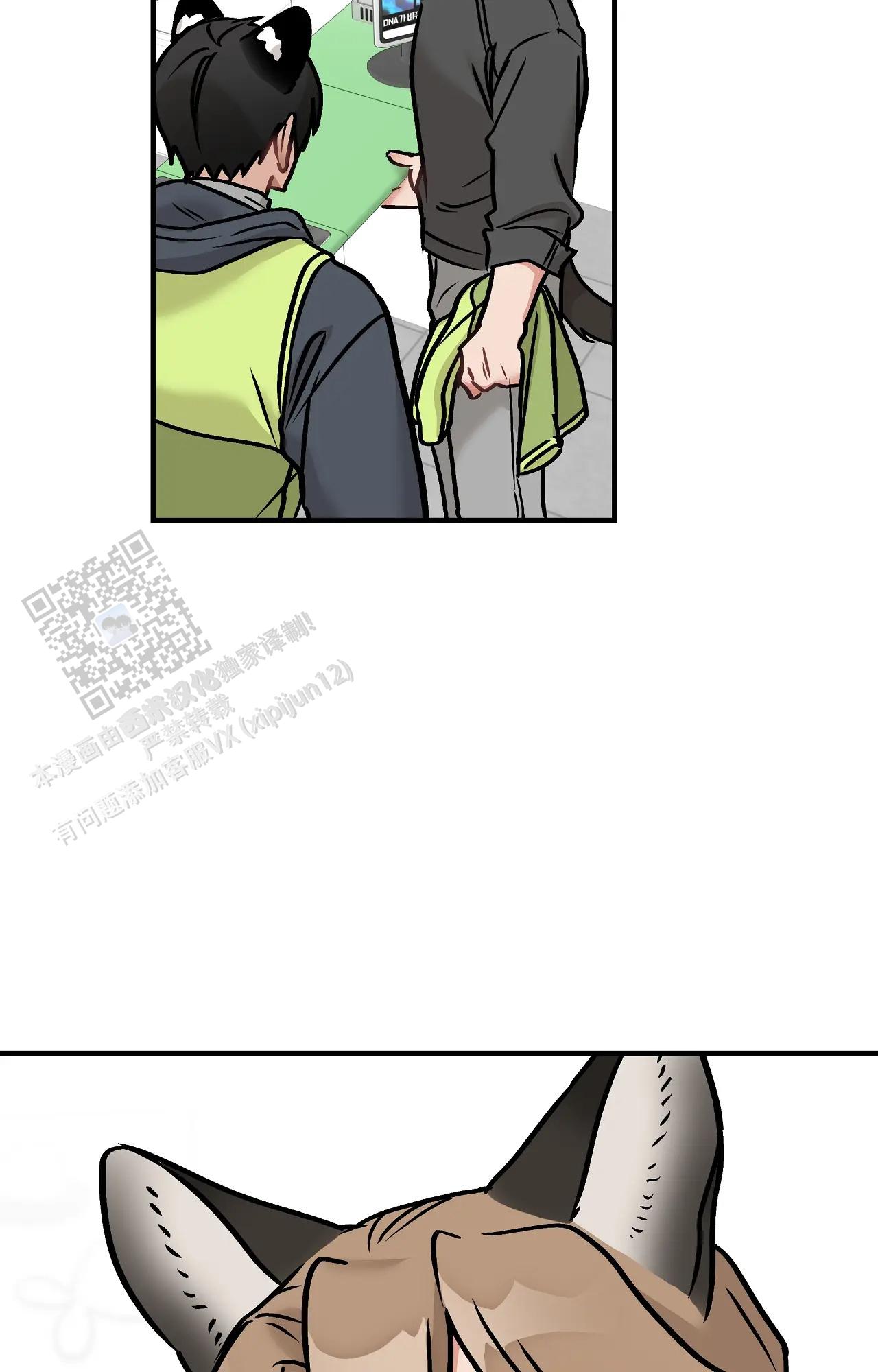 胆怯的老虎 - 第27话 - 第2张图